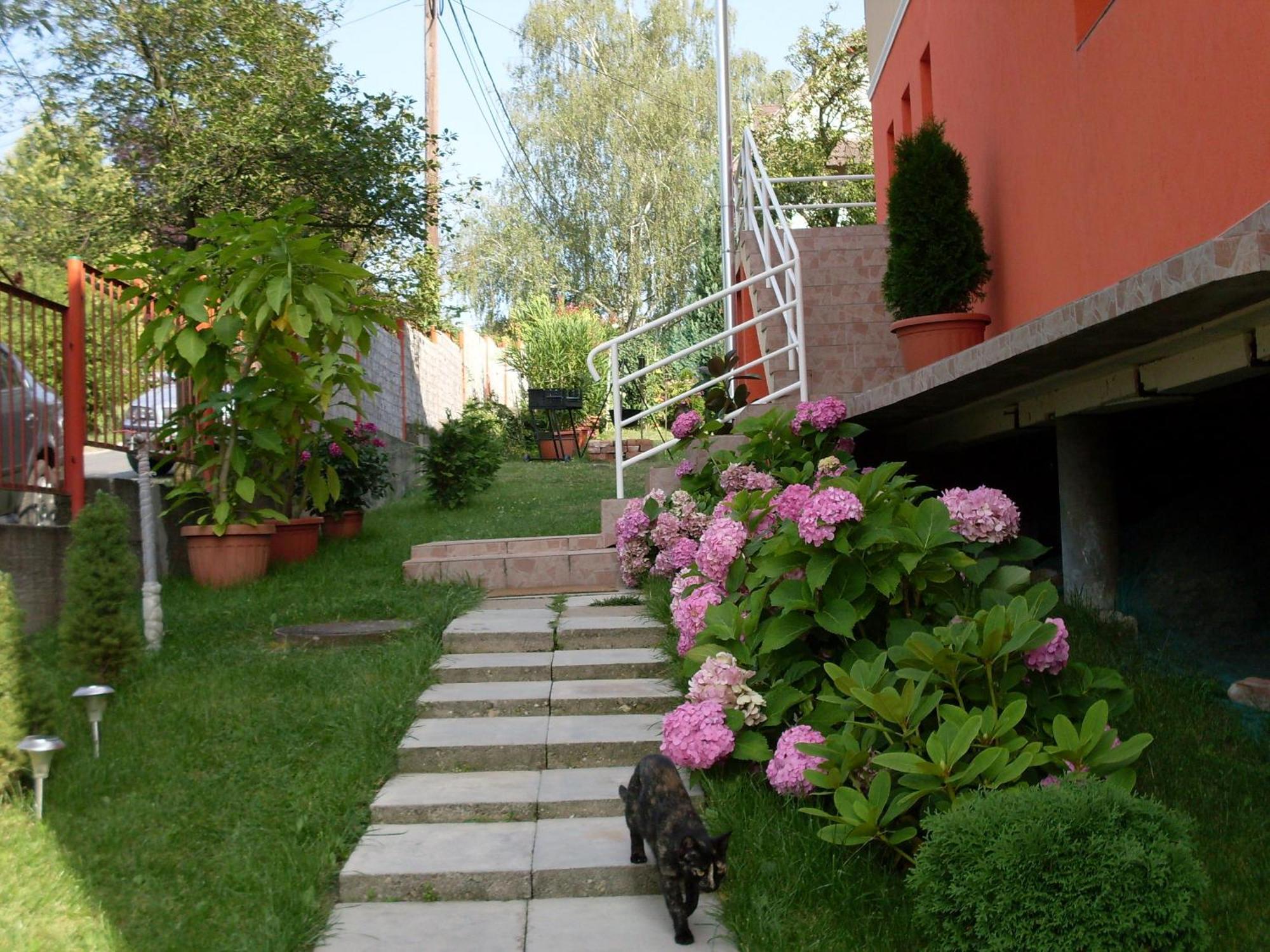 Éden Vendégház Miskolc Exterior foto